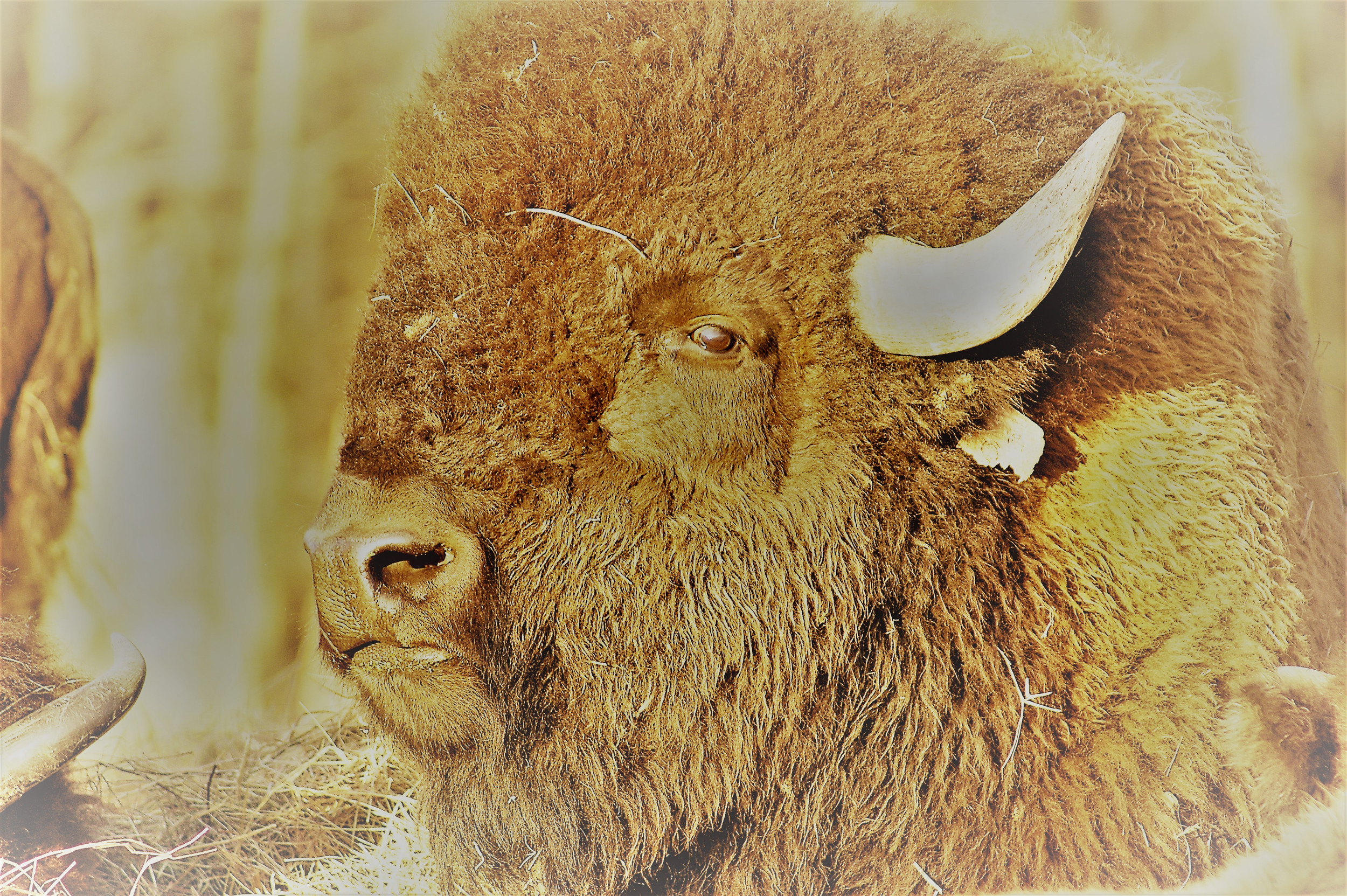 Riffle Farms photo 4