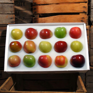 Hirsch Fruit Farm photo 22