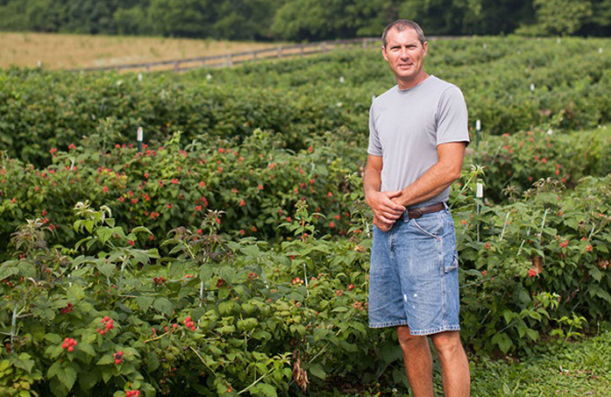 Hirsch Fruit Farm