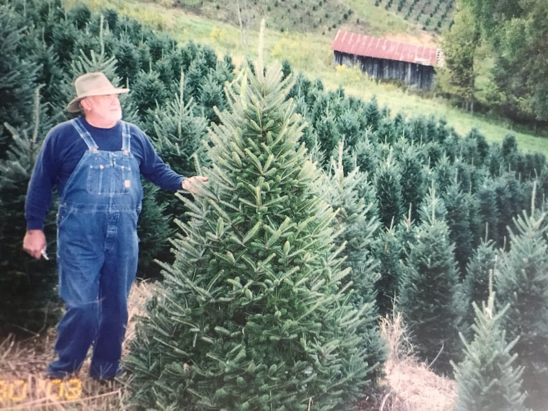 Roan Valley Tree Farm