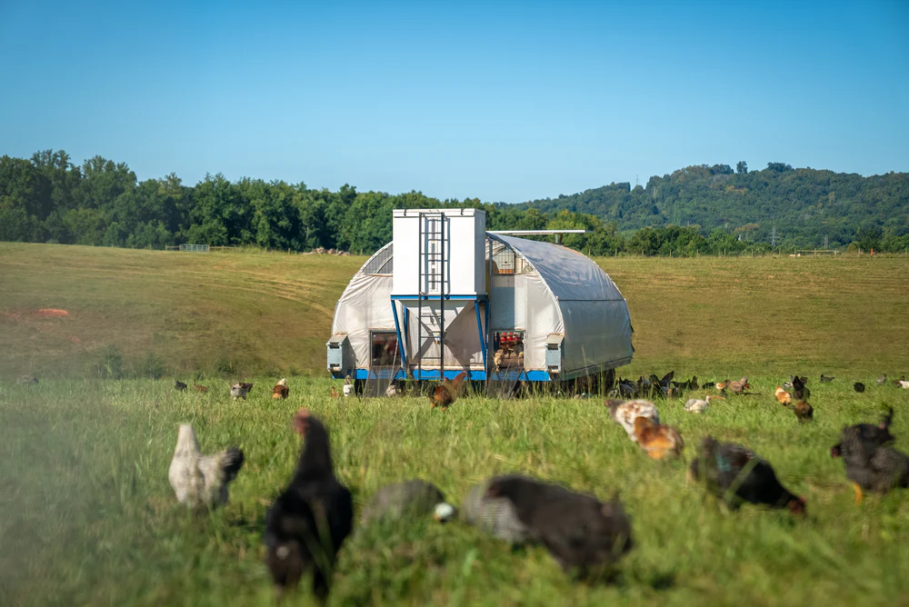 Maranatha Farms photo 4