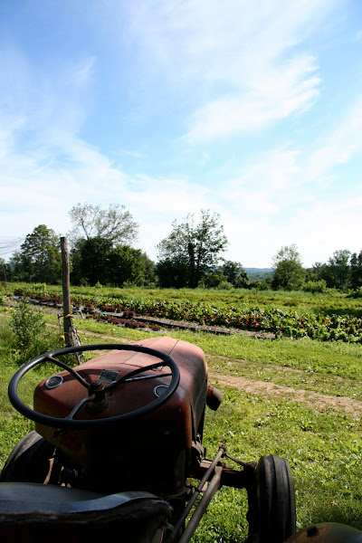 The Hickories photo 2