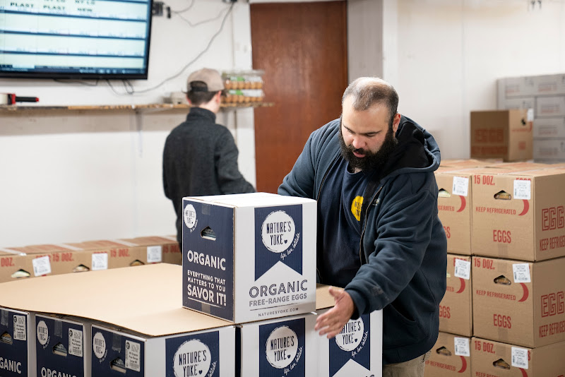 Westfield Egg Farm photo 2