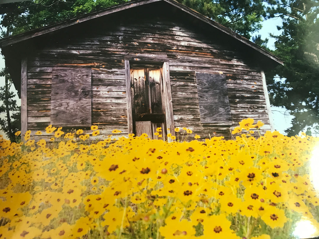 White Feather farm photo 15