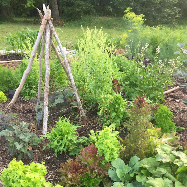 Hobbit Gardens Earth Gatherings Center