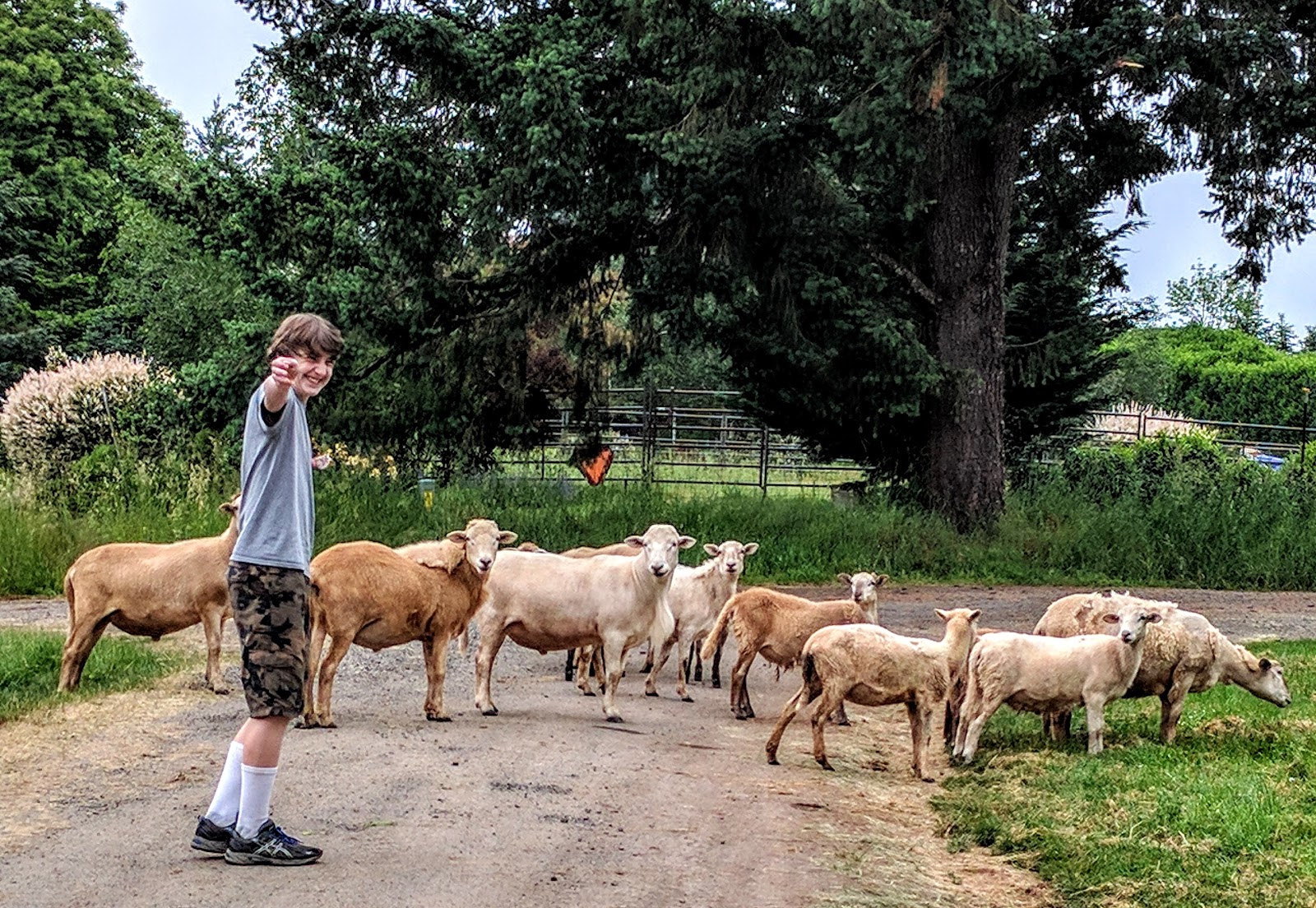 Deo Volente Farm photo 2