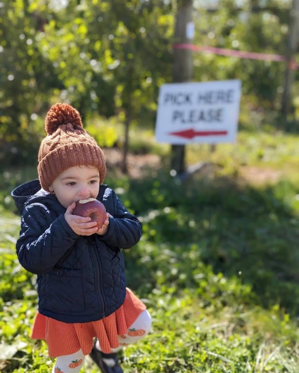 Family Tree Farm, LLC