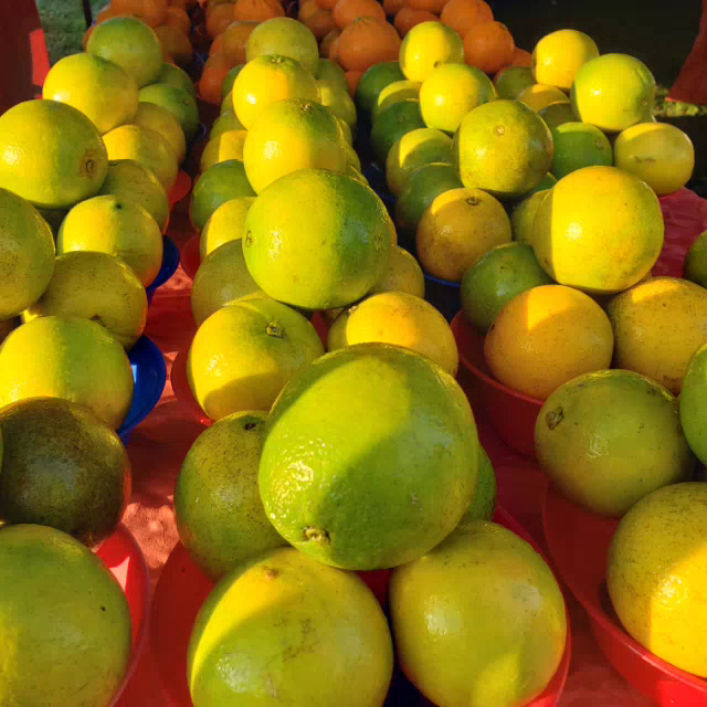 Beach Baptist Farmers Market Fort Myers Beach photo 2