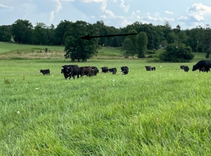 Hit n Miss Farm Market