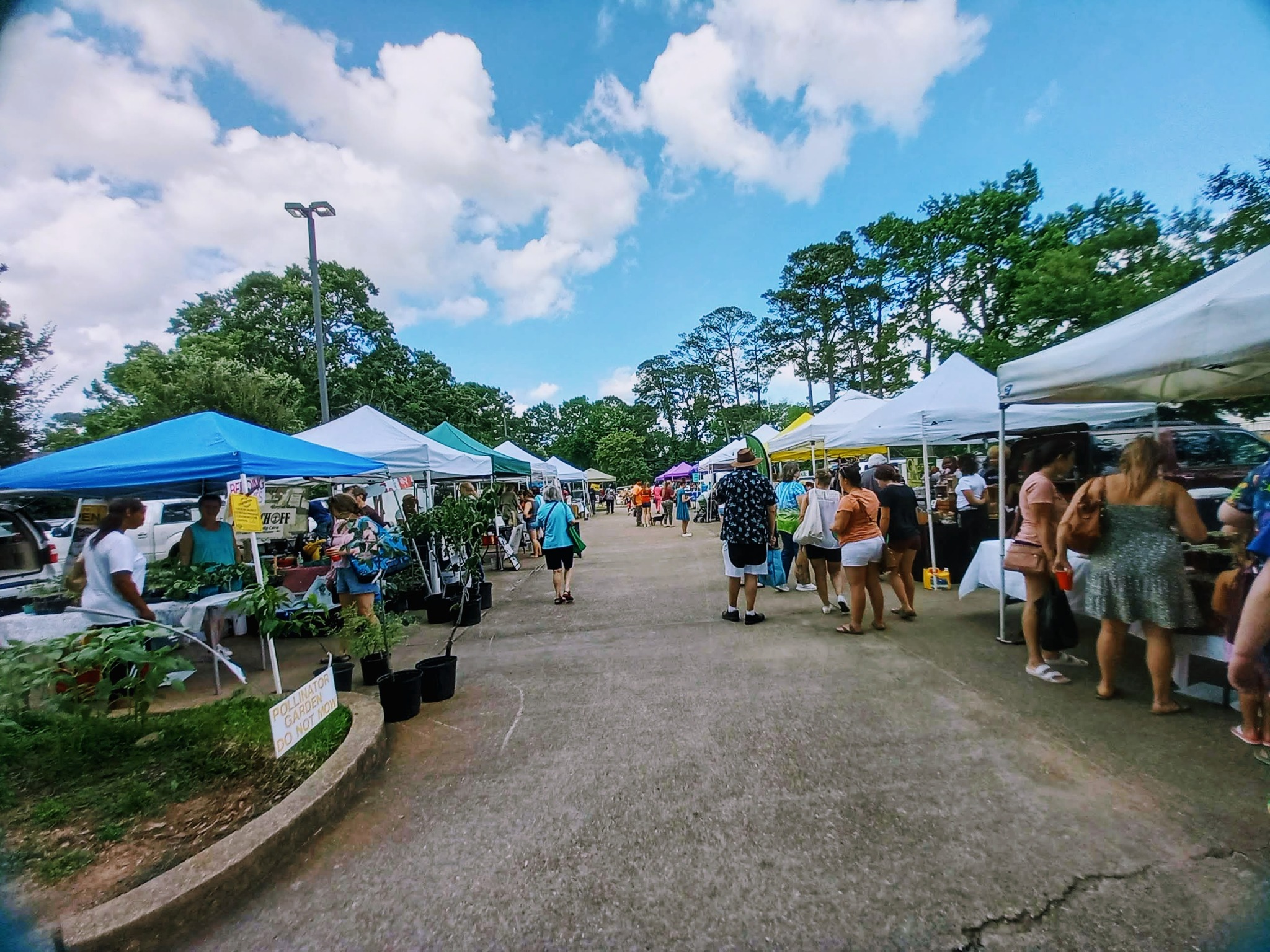 Alexandria Farmers Market
