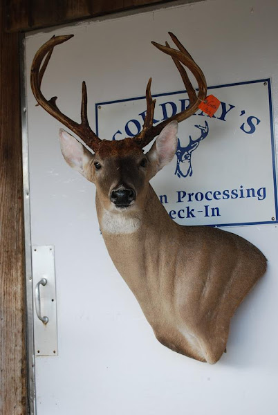 Cordray's Processing and Taxidermy photo 4