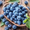 Bluegrass Berry Farm & Produce