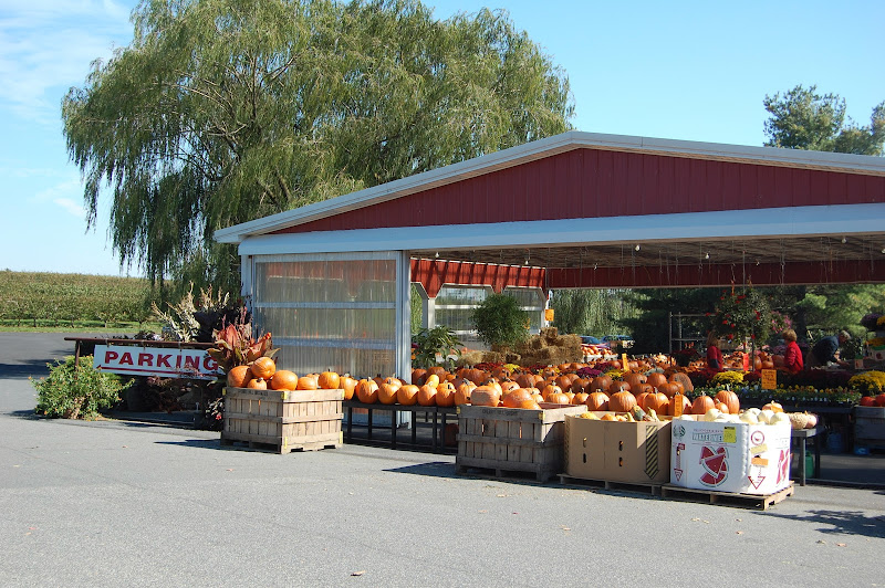 Cherry Hill Orchards Farm Market