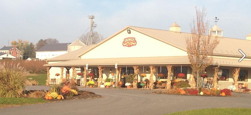 Flinchbaughs Orchard and Farm Market photo 4