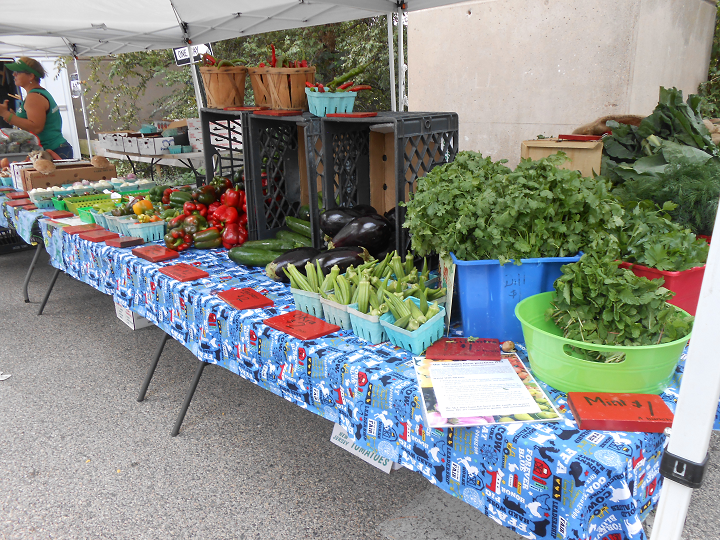 East Falls Farmers' Market photo 5