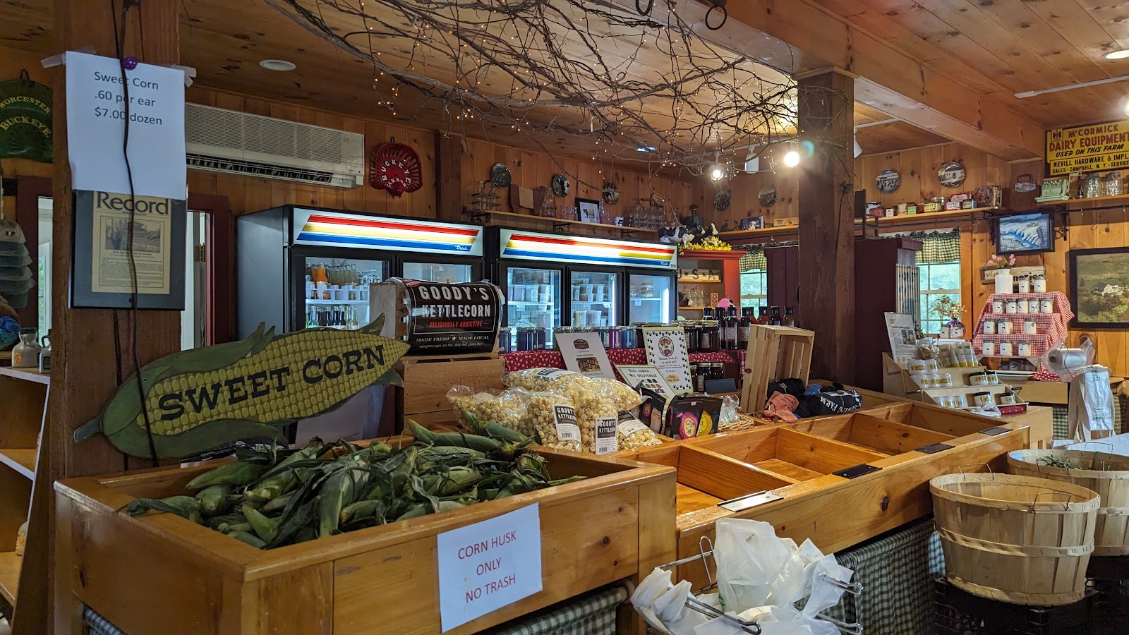 Rota Spring Ice Cream photo 2