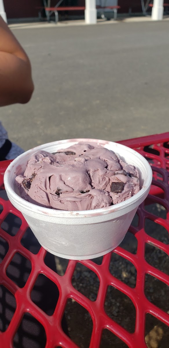 Rota Spring Ice Cream photo 4