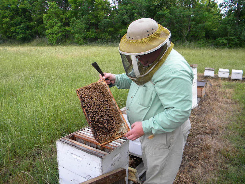Hummer & Son Honey Farm photo 2