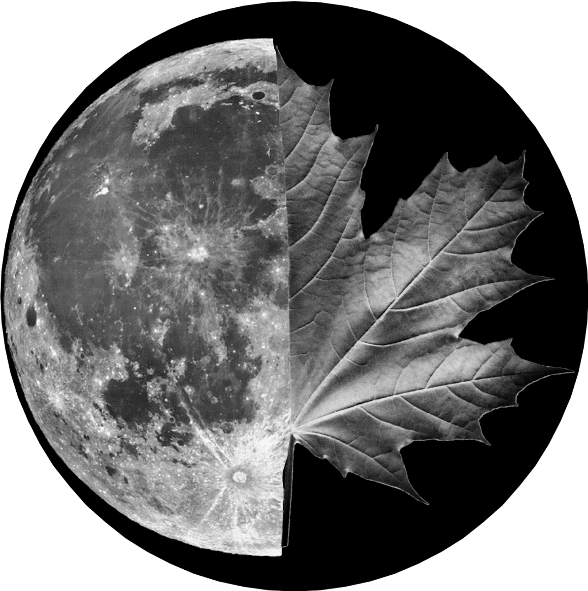 Moon & Maple Farm
