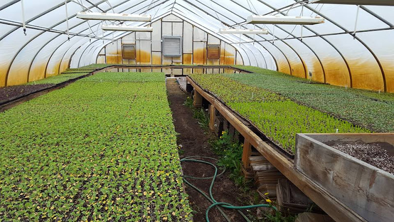 Heavens Harvest Farm