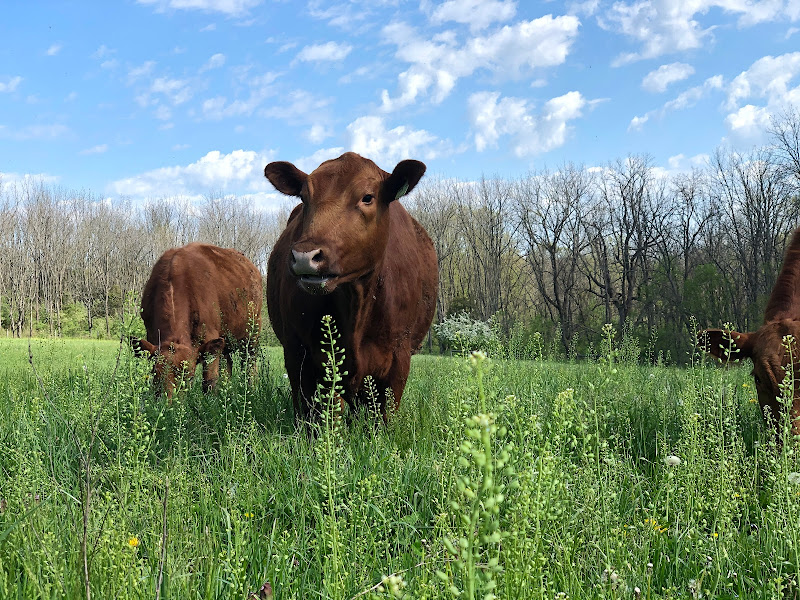Tussock Sedge Farm LLC