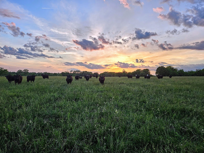 Batchelder Family Farms