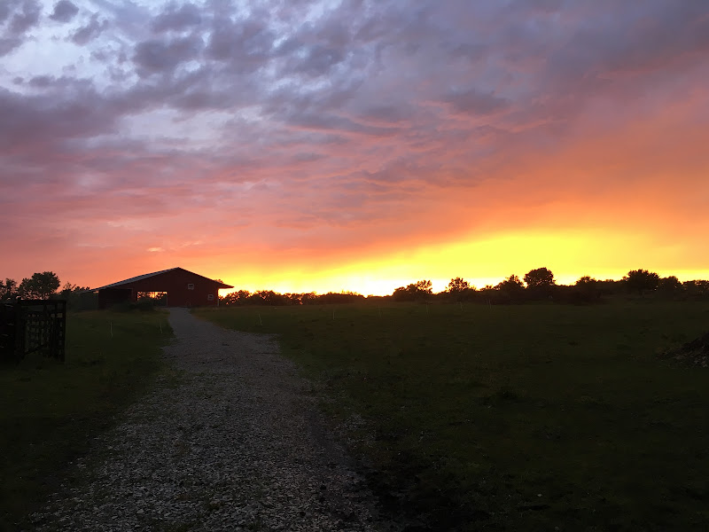 Batchelder Family Farms photo 4