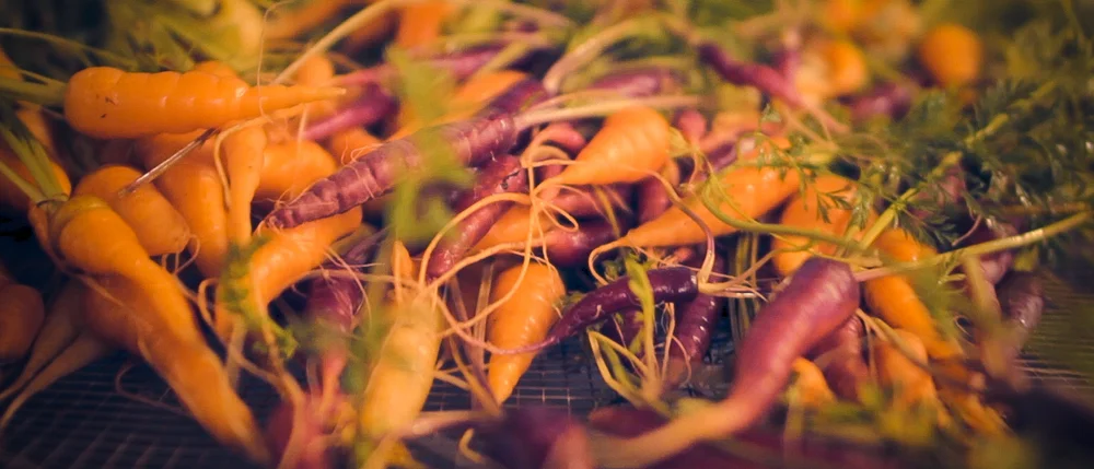Steadfast Farm photo 29