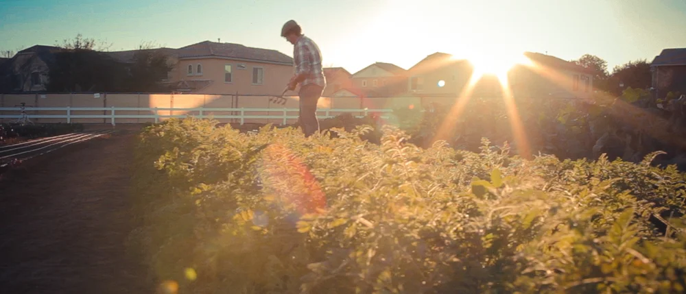 Steadfast Farm photo 30
