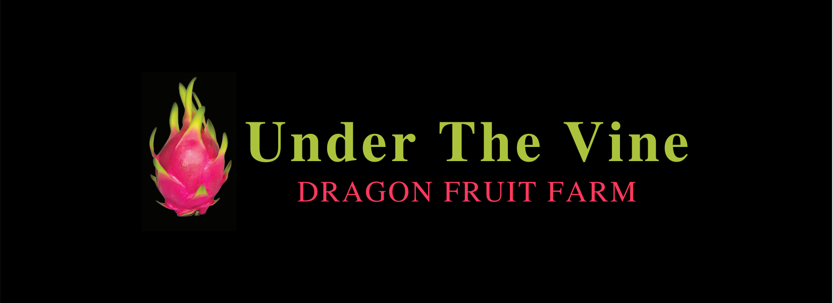 Under The Vine - Dragon Fruit Farm