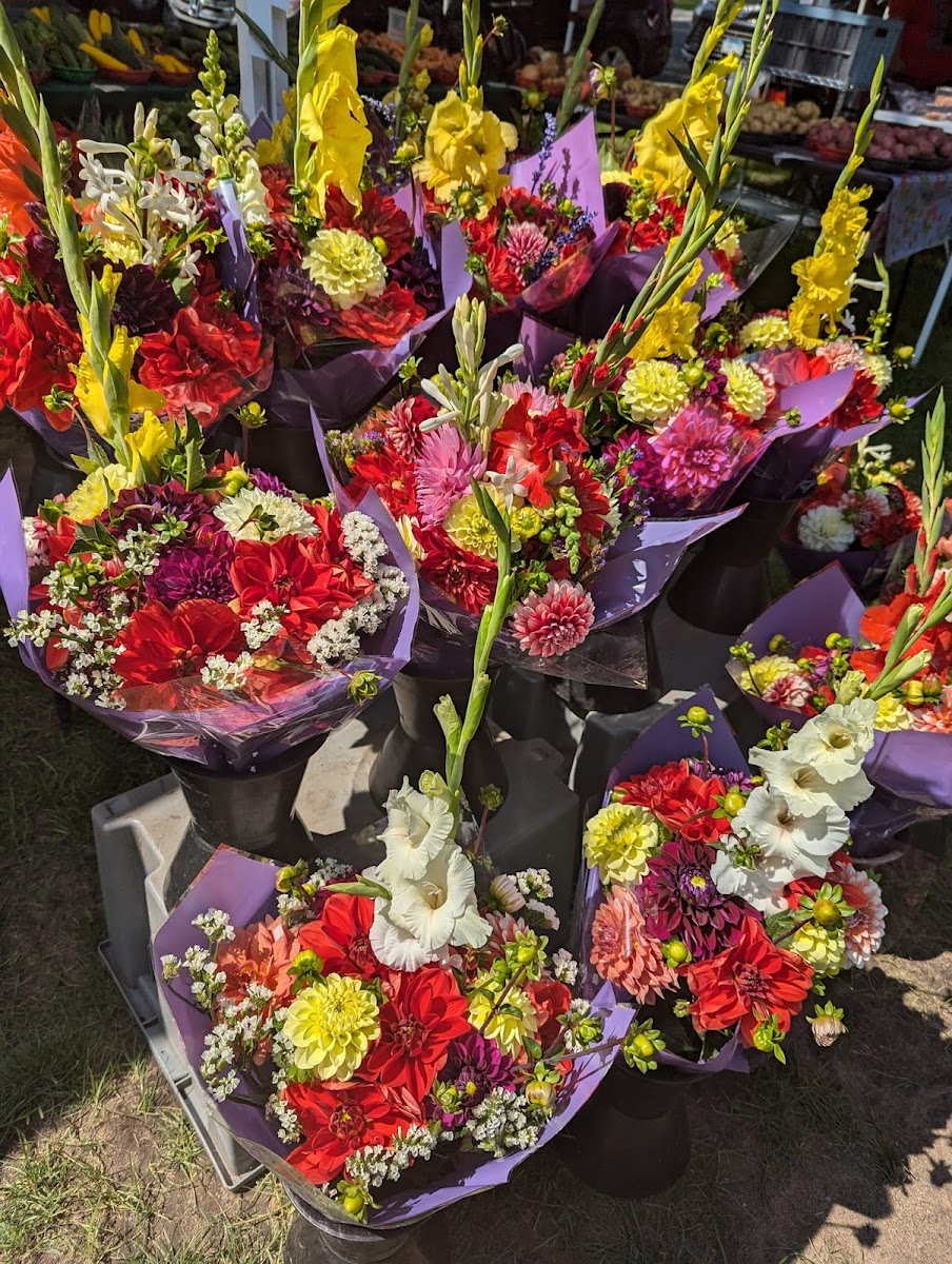 Bayport Farmers' Market photo 2