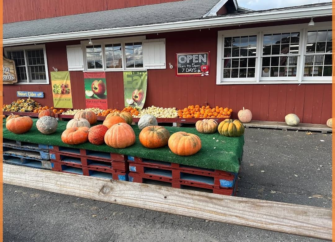 Blue Jay Orchards photo 2