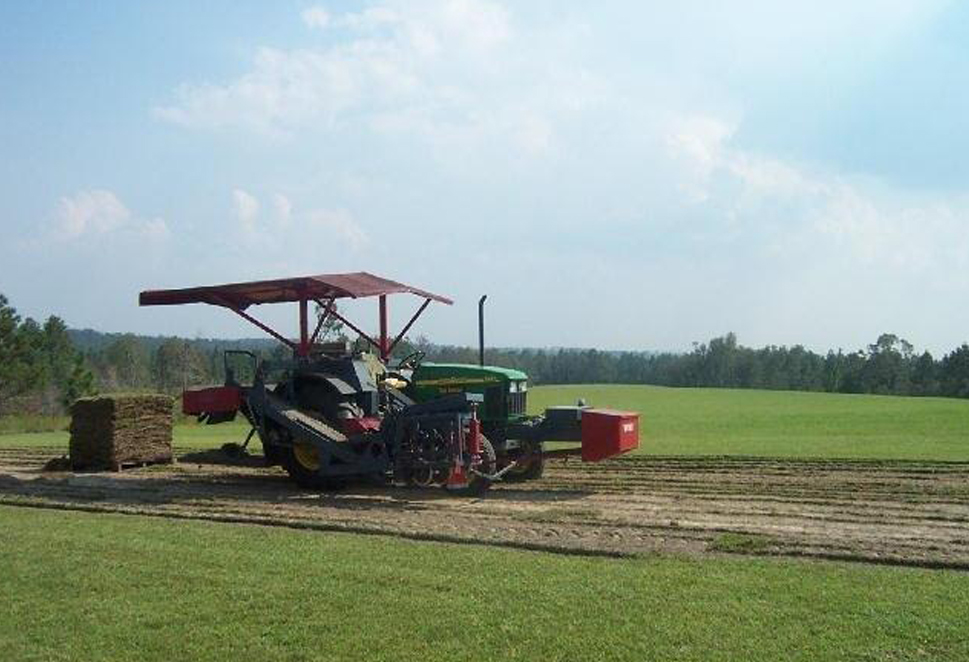 Toft Farms photo 5