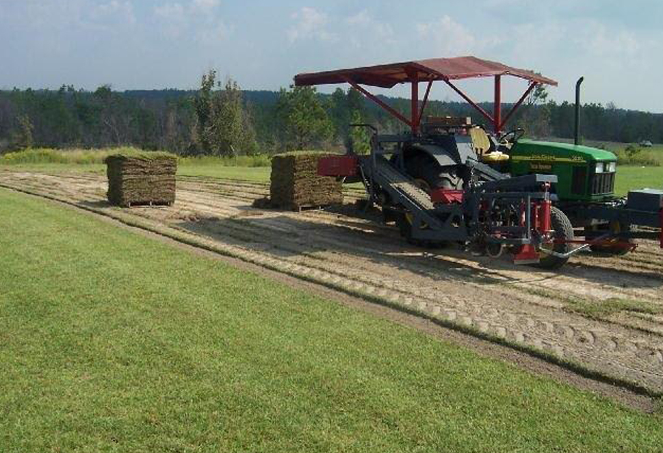 Toft Farms photo 7