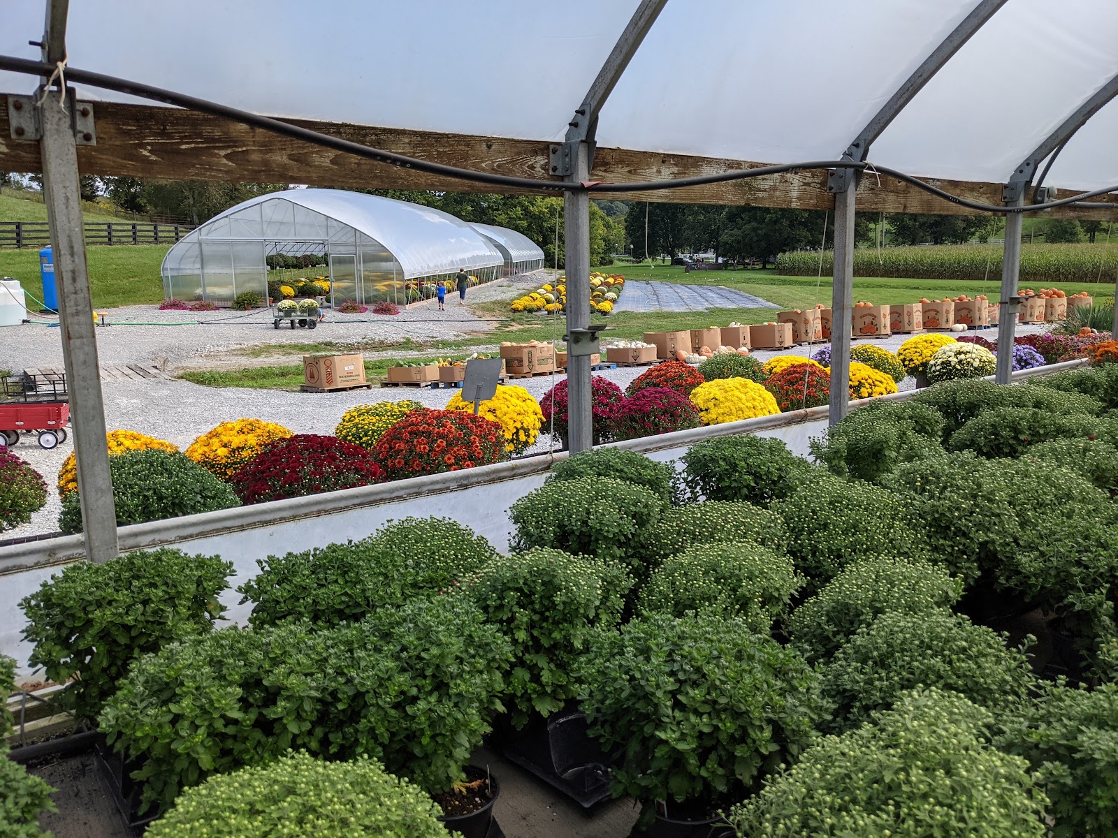 Bi-Water Farm & Greenhouse