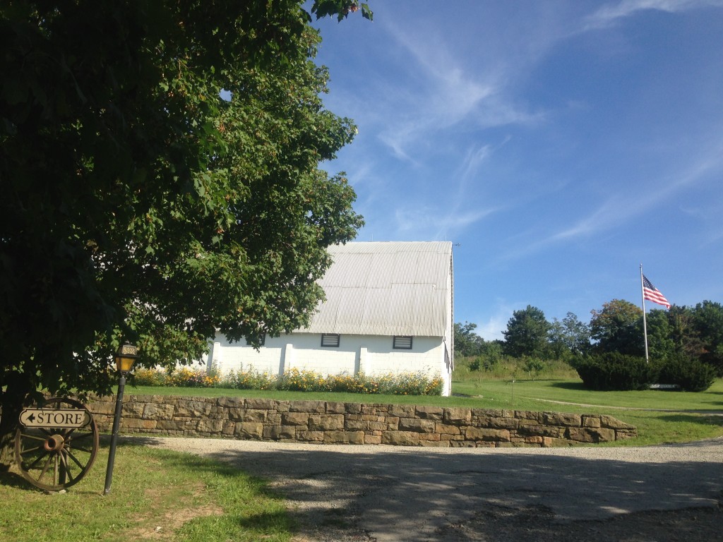 Friendship Farms