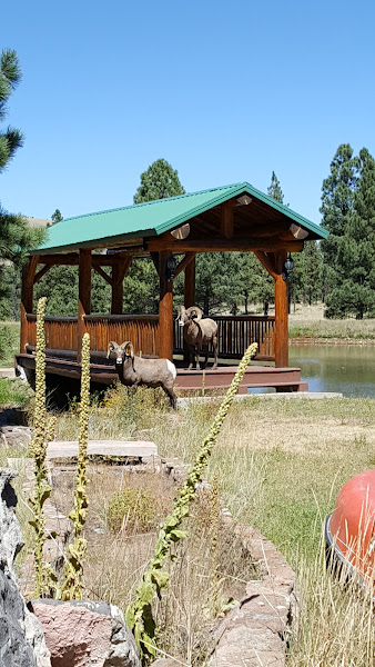 X Diamond Ranch photo 3