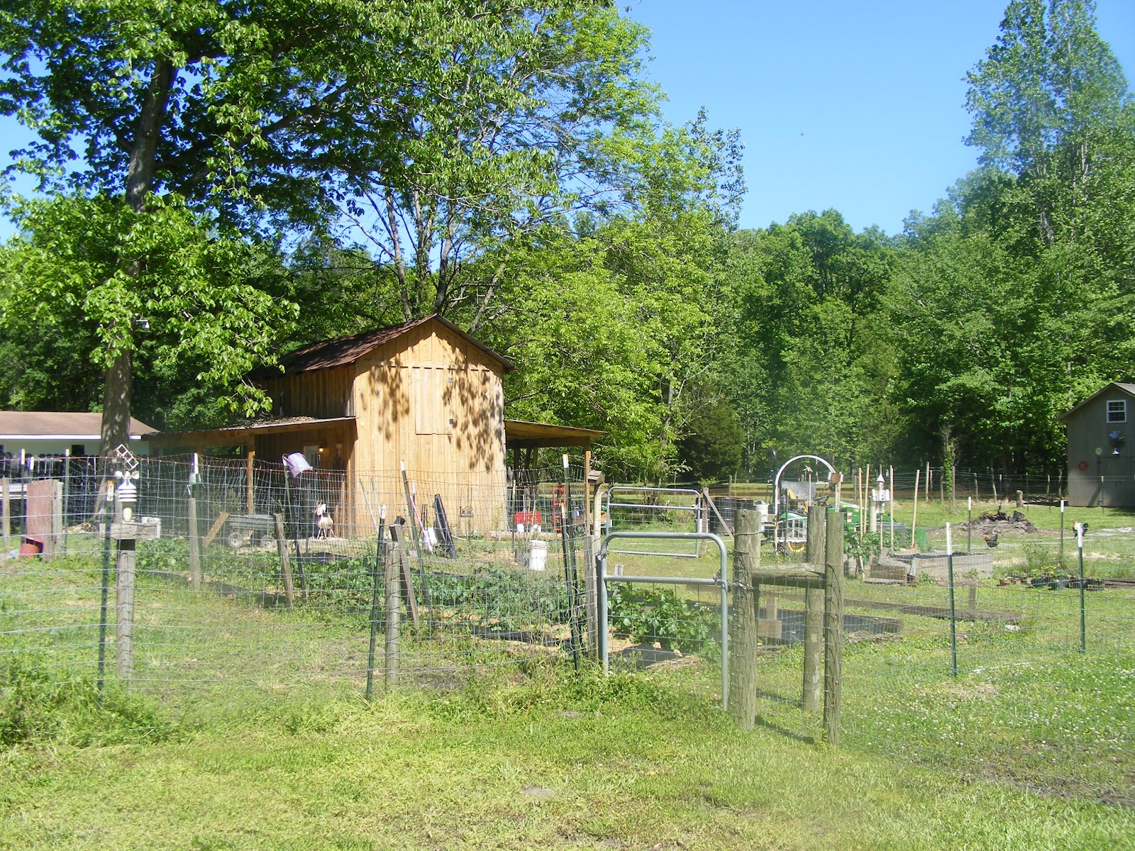 Bone Creek Farms photo 5