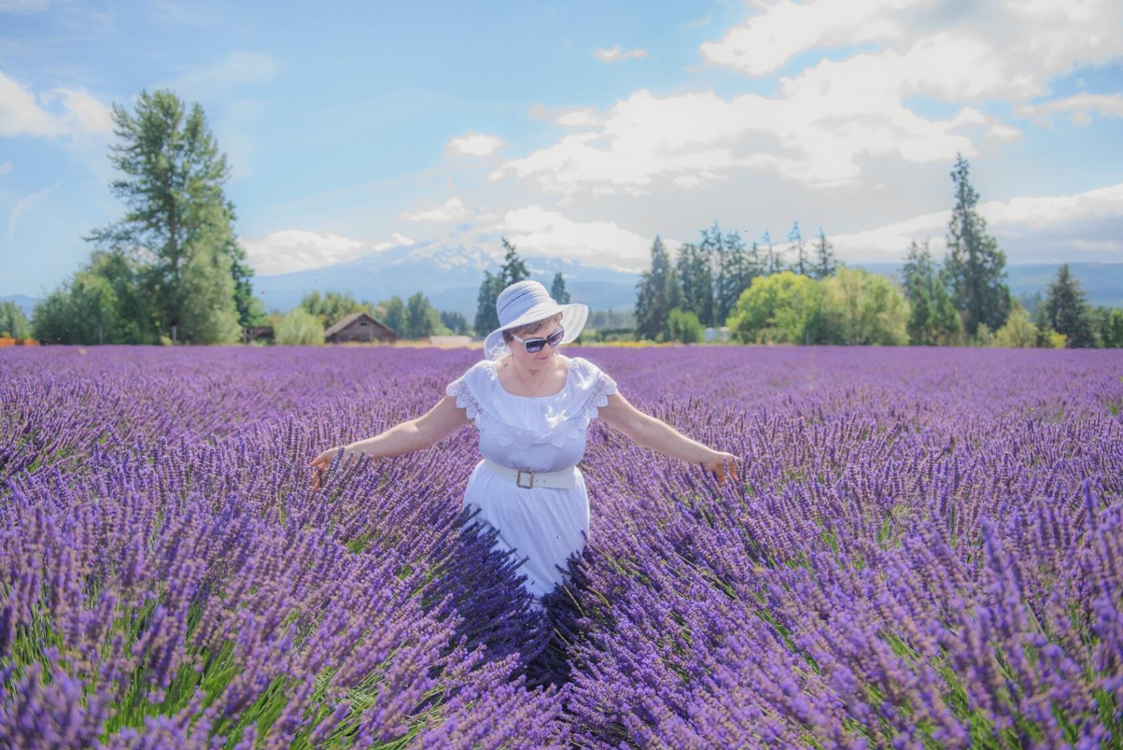 Lavender Valley