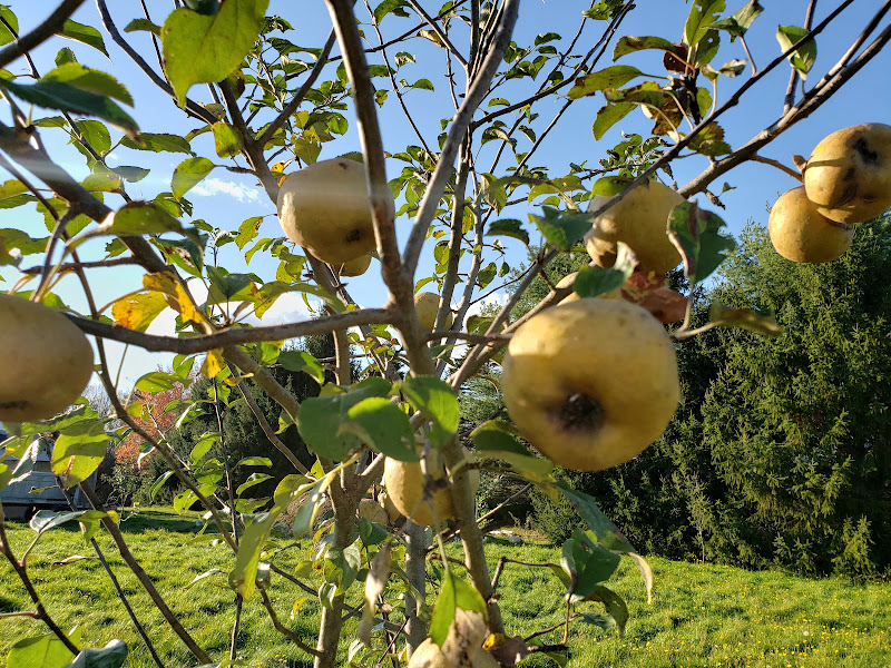 River Basin Farms, LLC