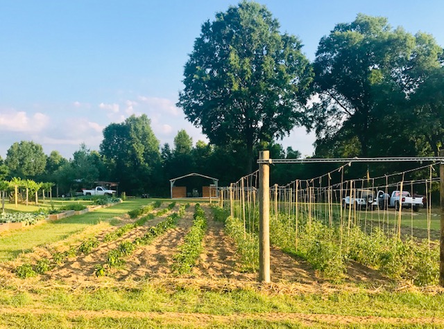 EM Farms LLC photo 2