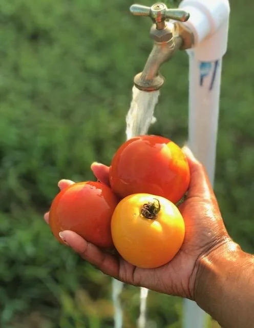 EM Farms LLC photo 4