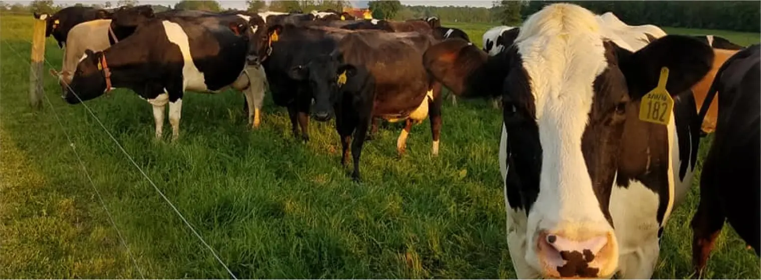 Apple Valley Creamery, LLC.