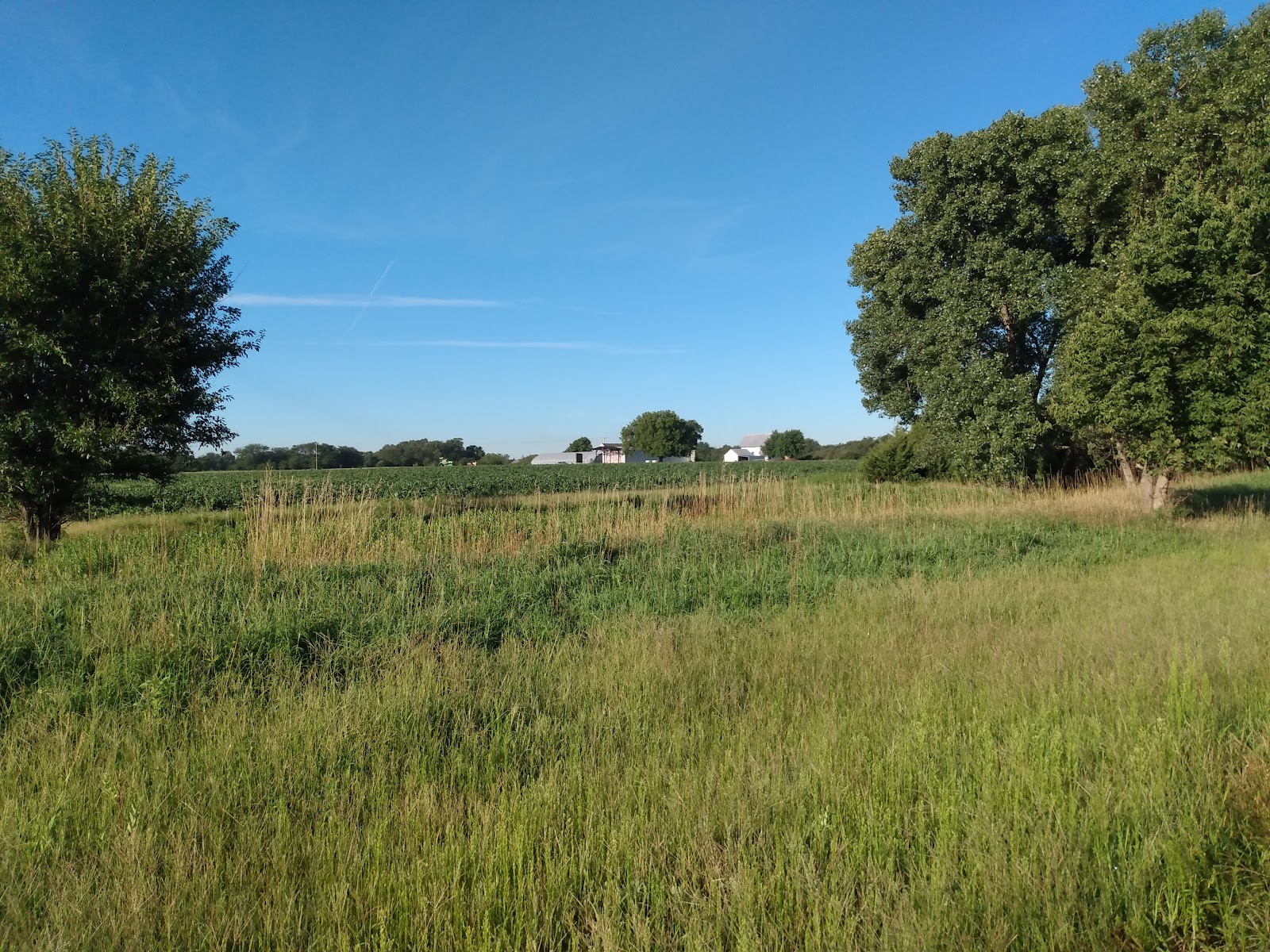 MG Honor Farms photo 3