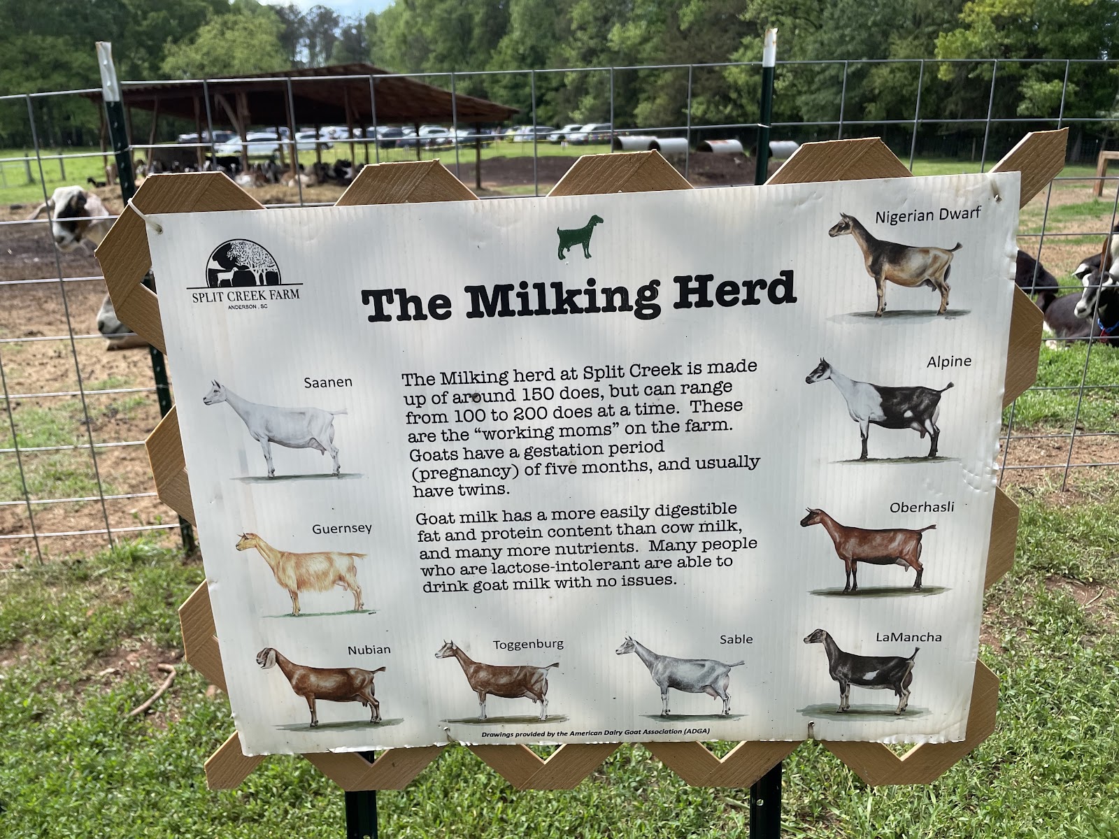 Bakers' Acres Ranch, LLC