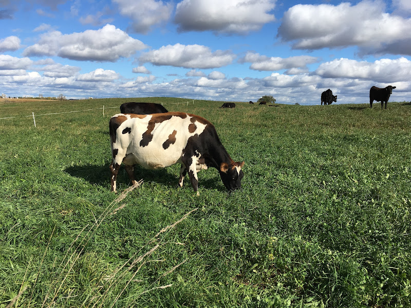 FULL CIRCLE COMMUNITY FARM