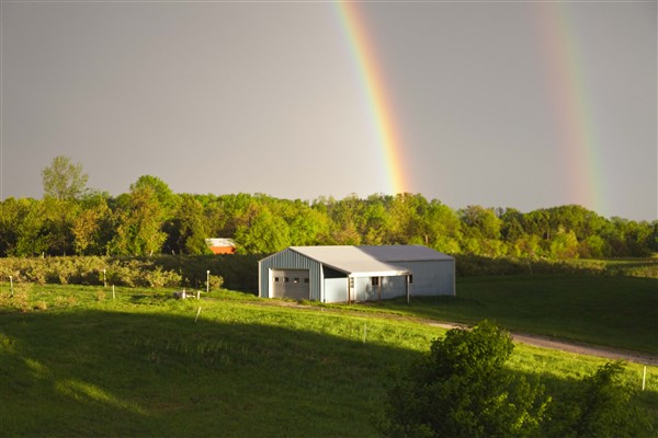 Bryant's Blueberries