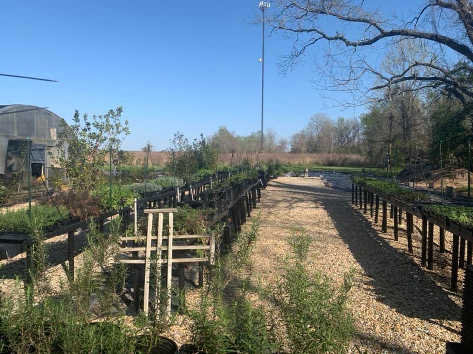 Louisiana Herbs LLC. photo 2
