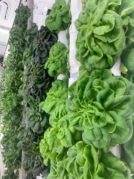 Mitchell Valley Farm