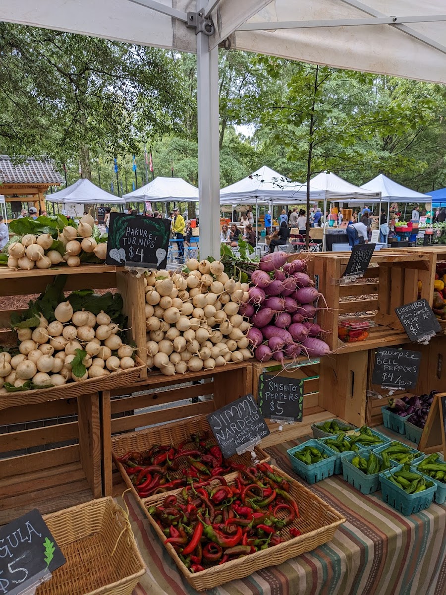 Freedom Farmers' Market at the Carter